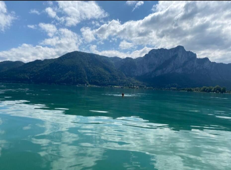 Die Feelgood-Wohnung Am Mondsee Zewnętrze zdjęcie